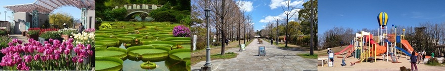 市内公園のイメージ写真