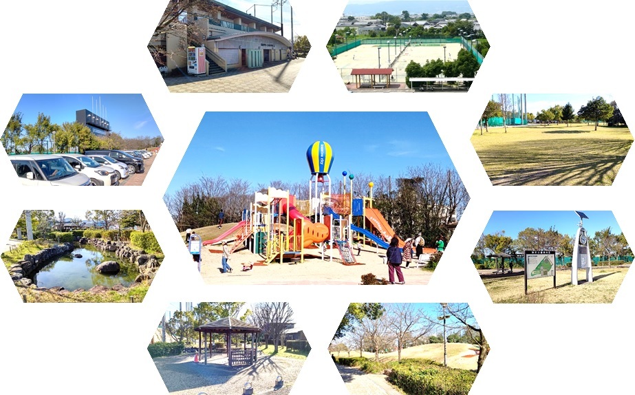 弾正公園の主なスポット