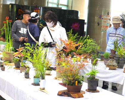 展示をみる来園者のようす