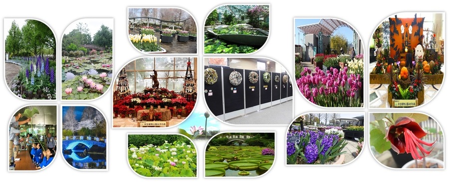 みずの森の植物・展示風景写真