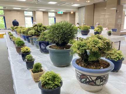 昨年の展示の様子