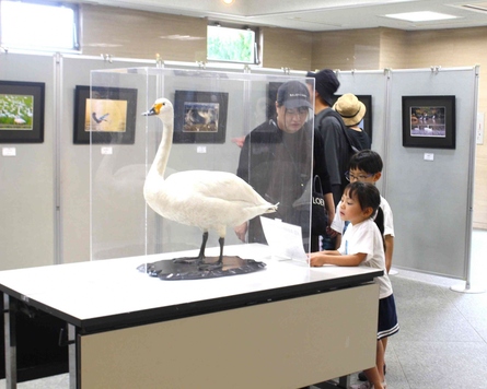 展示をみる来園者のようす