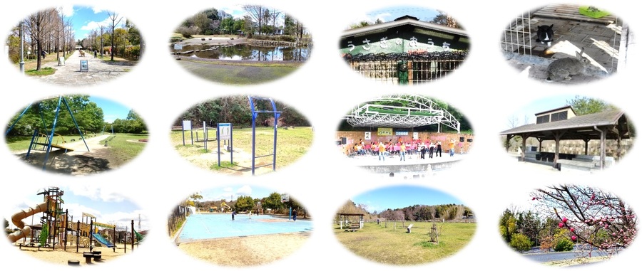 ロクハ公園イメージ写真