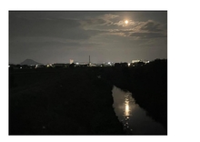 葉山川沿いの夜景