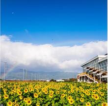 草津あおばな館