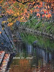 立木神社前の水路