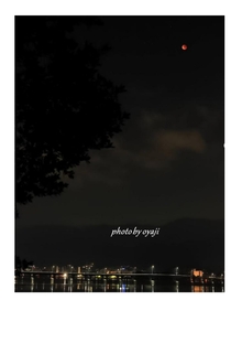 矢橋南橋の夜景