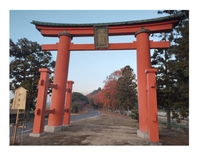 印岐志呂神社の鳥居