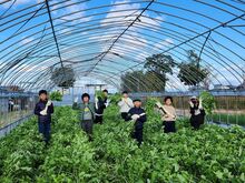 「野菜のまち　山田」（外部リンク）