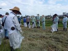 草津川クリーン大作戦