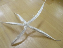 種を取った後のオクラの鞘の写真