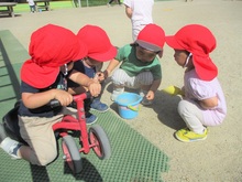 1歳児のこどもが集まってバケツの中をのぞいている写真