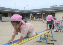 2歳児が平均台を渡っている写真