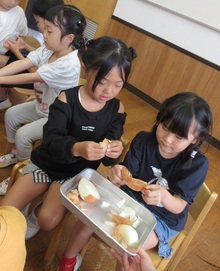 玉ねぎの皮を観察している写真