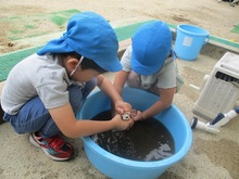 軍手を洗っている写真