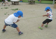 さつまいものツルを使って綱引き