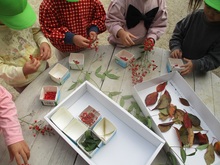 秋の葉や実を分類しているところ