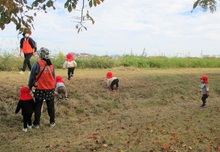 堤防を登る様子