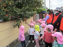 柿を見つけた様子