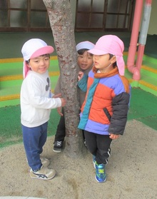 かくれんぼの様子