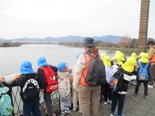 橋上からカメを見ている写真