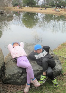 石の上で日向ぼっこしている写真