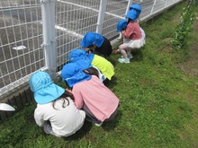 5歳児の外遊びの様子