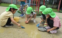 水たまりで遊ぶ様子3