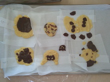 クッキーが出来上がりました。