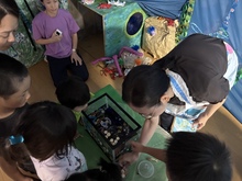 コイン落としをしています。