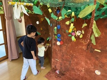 虫探しをしています。