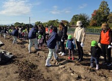 高校生がスコップで掘り起こすようすを見るこどもたちの写真