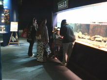 水槽に注目するこどもたちの写真