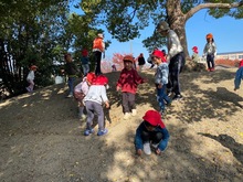 山で遊んでいる写真