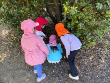 自然物を探している写真