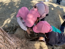 生き物を探している写真