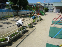 草むしりをしている人物の写真1