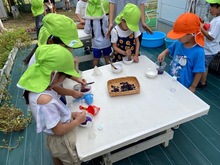 色水遊びをしている写真