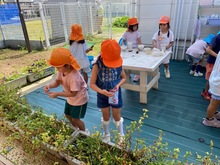 花を摘んでいる写真