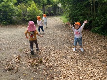 探検の写真3