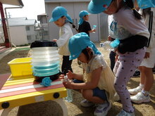 液肥をあげている写真