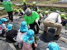 地域の方と一緒に苗を植えている写真