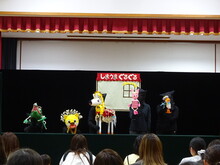 いろいろな動物の人形の写真