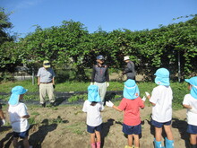 並んであいさつをするこどもたちの写真2
