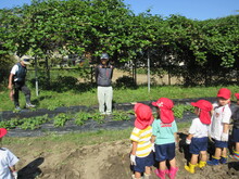 並んでいるこどもたちの写真