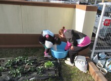 タライをのぞき込むこどもの写真