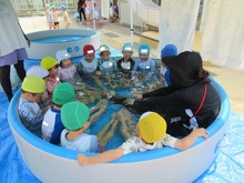 水遊びのようす5