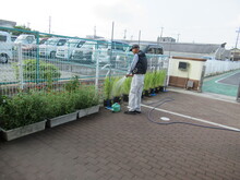 園内の植物に水やりをする職員