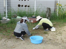 園内の草むしりをする職員
