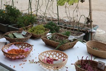 籠に仕分けられた草花の写真